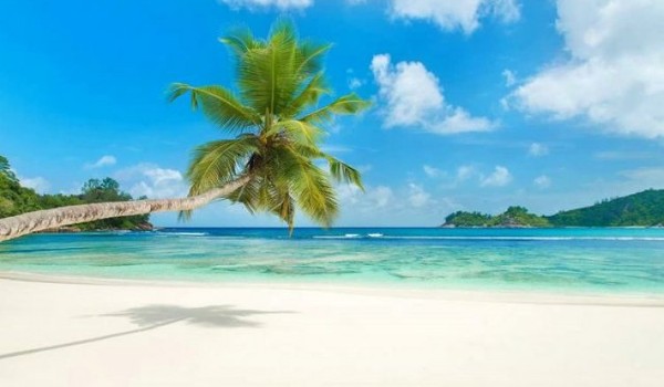 شاطئ أنس إنتندانس