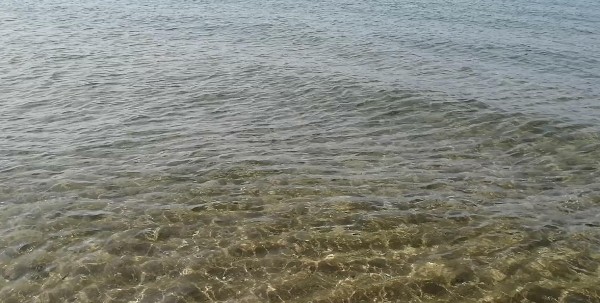 شاطئ بركوكش