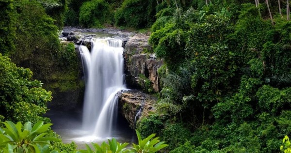 شلال تيجينونجان