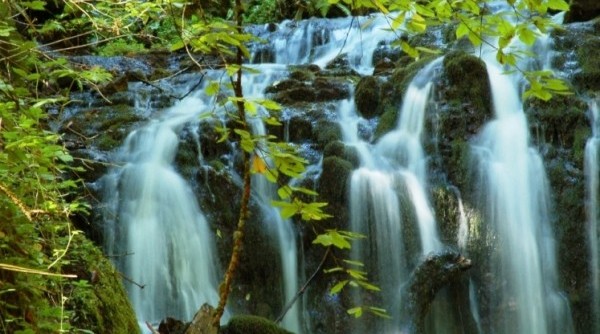 شلال سمندر دوزجه بولو