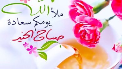 صباح الورد والجمال