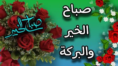 صباح الورد والياسمين صباح يسعد الغاليين