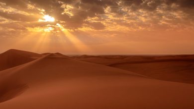 صور الصحراء