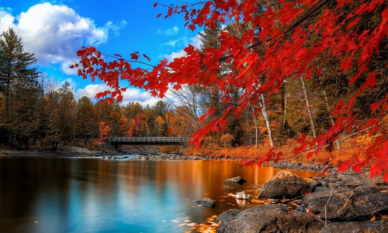 صور خلفيات الطبيعة