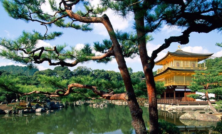 صورخلفيات الطبيعة