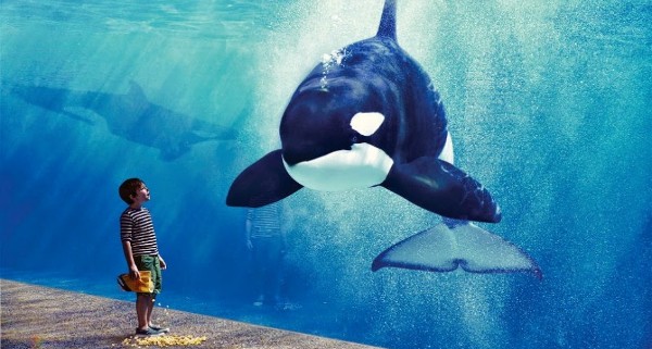 عالم البحار إندونيسيا