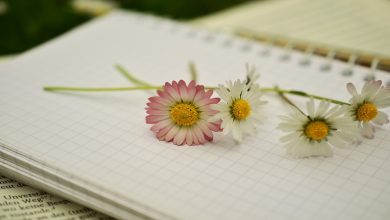 عبارات رمضان للأطفال