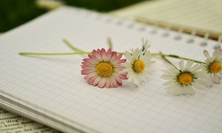 عبارات رمضان للأطفال