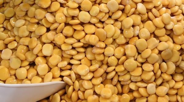 فوائد الترمس والرجيم