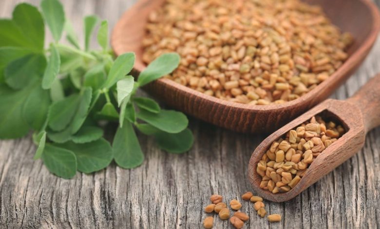 فوائد الحلبة للرجال