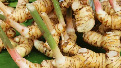 فوائد الخولنجان