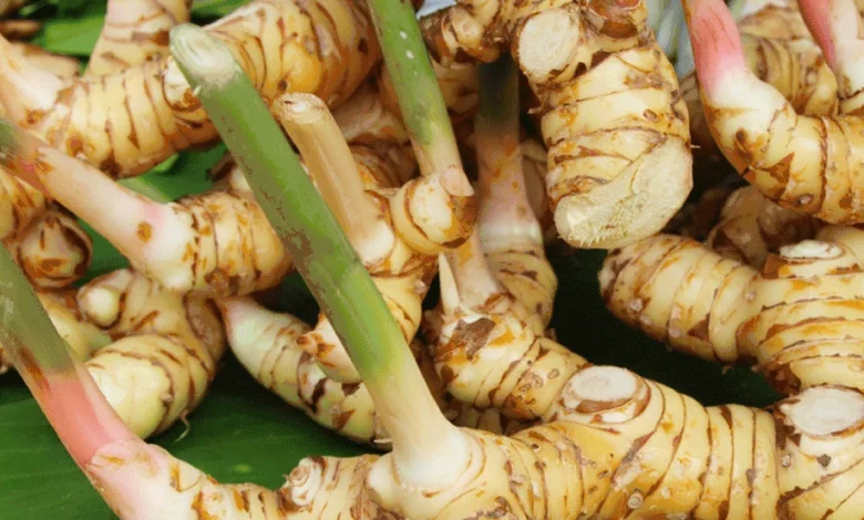 فوائد الخولنجان