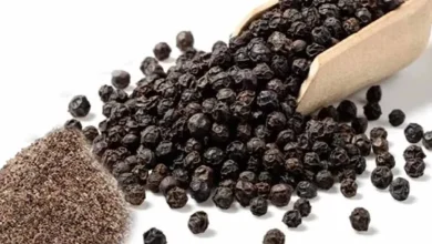 فوائد الفلفل الأسود