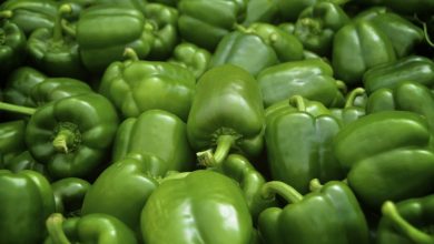 فوائد الفلفل الرومي