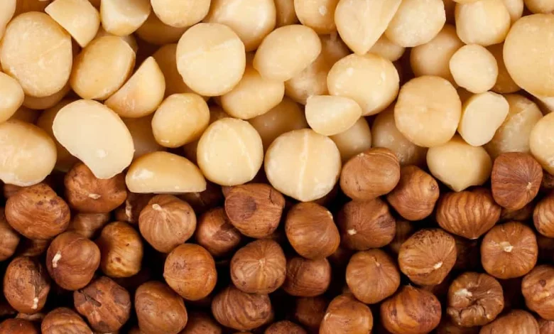 فوائد المكاديميا