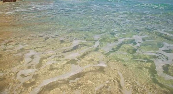 قرية أم الرخم