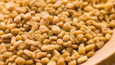 ما هي فوائد شرب الحلبة يوميا