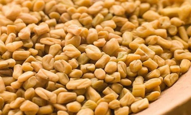 ما هي فوائد شرب الحلبة يوميا