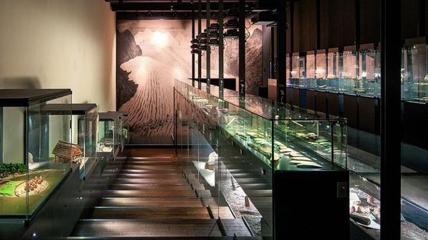 متحف تاريخ لوزان