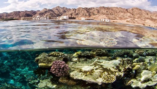 محمية أبو جالوم أو وادي الرساسة