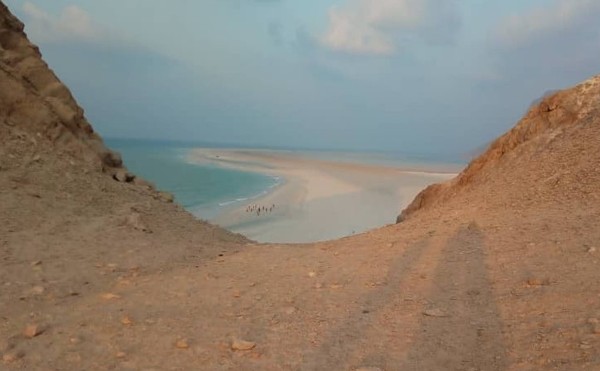 محمية ديطوح