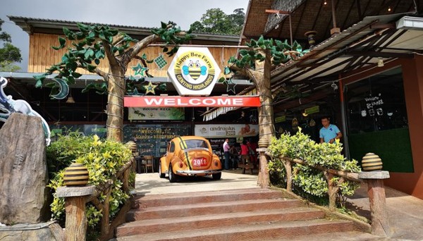 مزارع عسل النحل