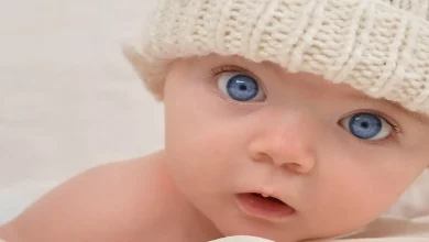 معنى اسم ساندرا