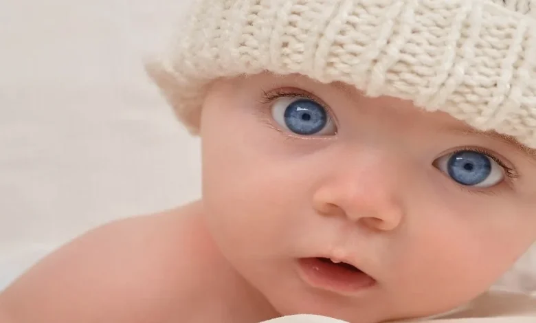 معنى اسم ساندرا