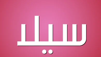 معني اسم سيلا