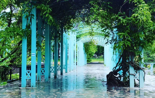 منتزه المياه المعدنية في بورجومي