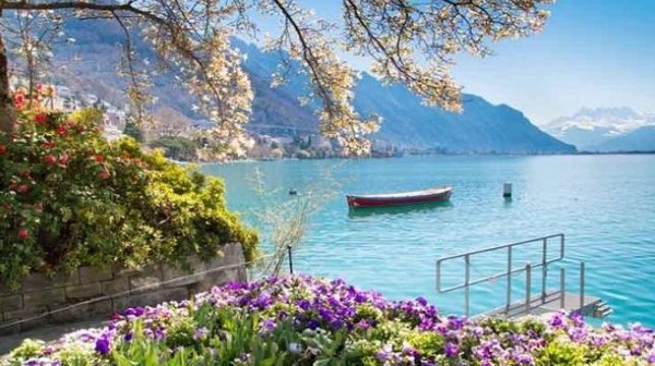 مونترو نويل