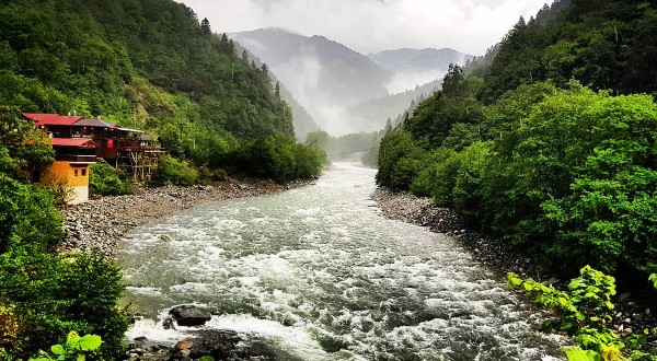 نهر فارتينا دارسي