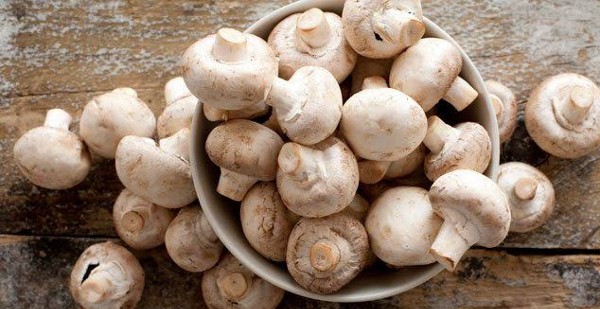 أضرار المشروم