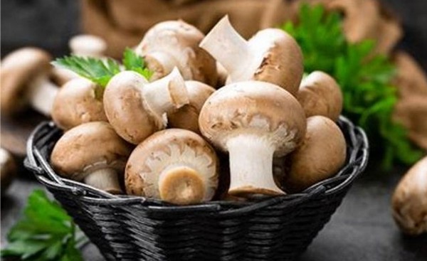 أضرار المشروم