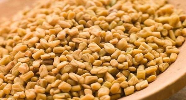 فوائد الحلبة للعظام