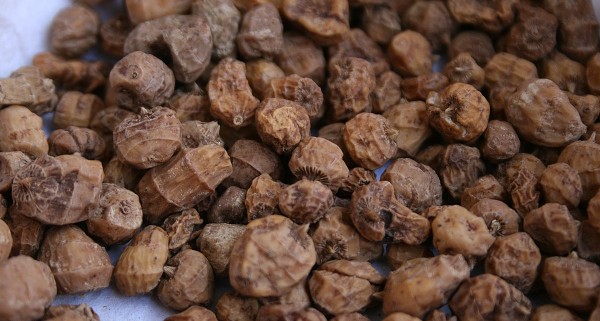 فوائد حب العزيز