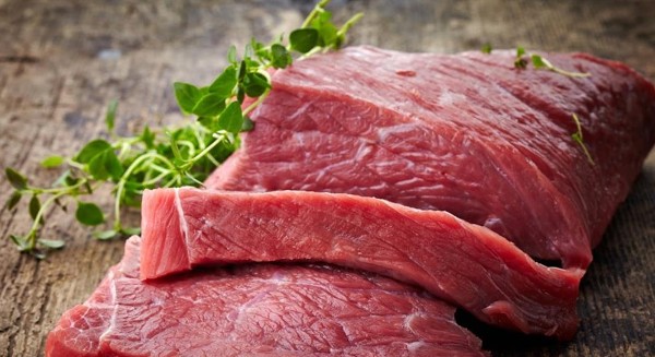 فوائد لحم الجمل