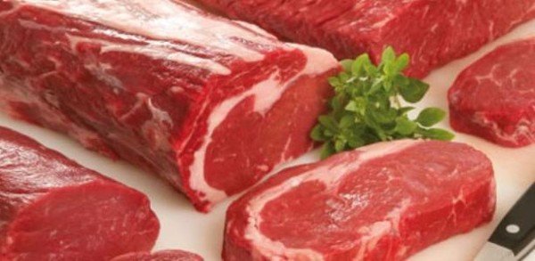 فوائد لحم الجمل