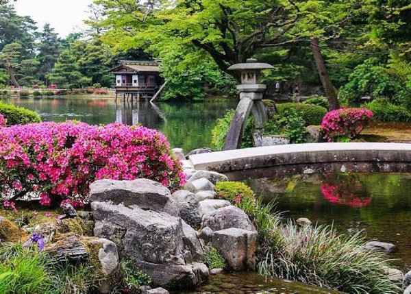 صور كوكب اليابان