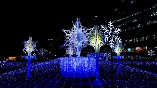 صور كوكب اليابان