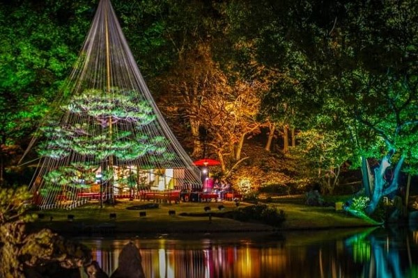 صور كوكب اليابان