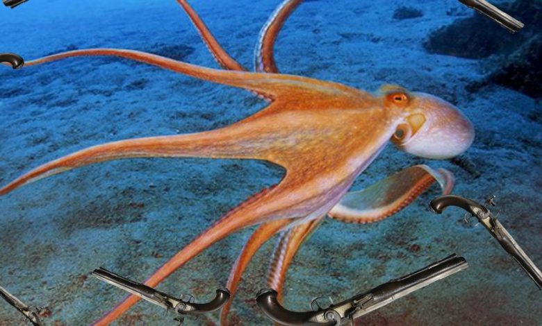 معلومات عن الأخطبوط