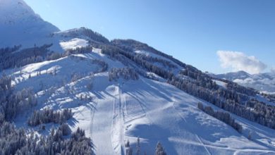 الإقامة في النمسا عن طريق شراء العقار