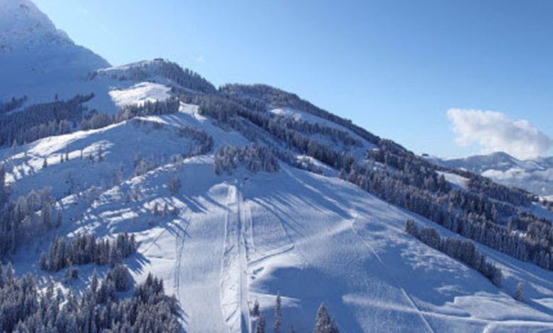 الإقامة في النمسا عن طريق شراء العقار