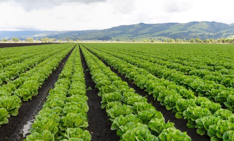 تغير النباتات