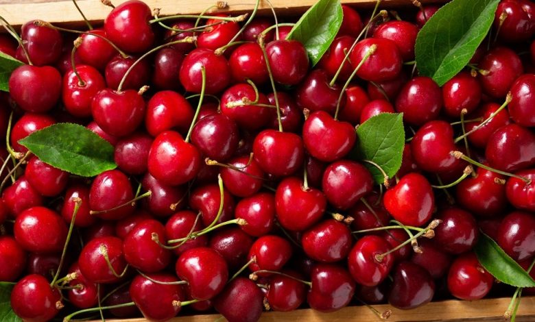 أضرار الكرز