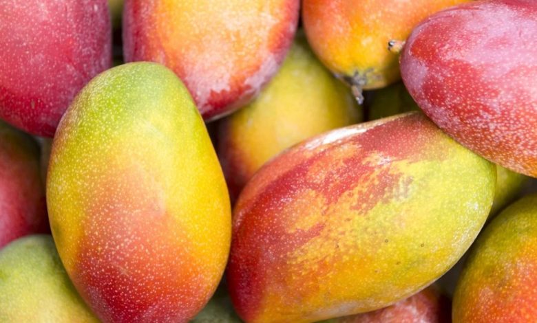 أضرار المانجو