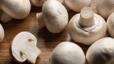 أضرار المشروم