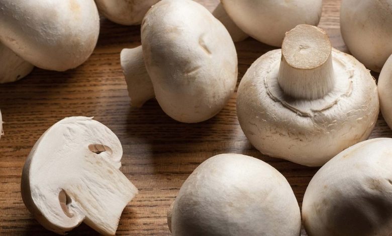 أضرار المشروم