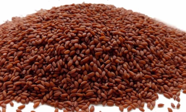 أضرار حب الرشاد المطحون